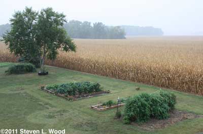 Showers on the main garden