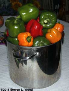 Last of our peppers