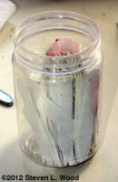 Peanut butter jar of labels