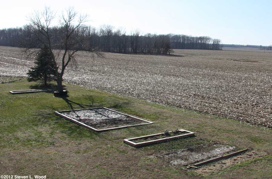 Our senior garden - 1/18/2012