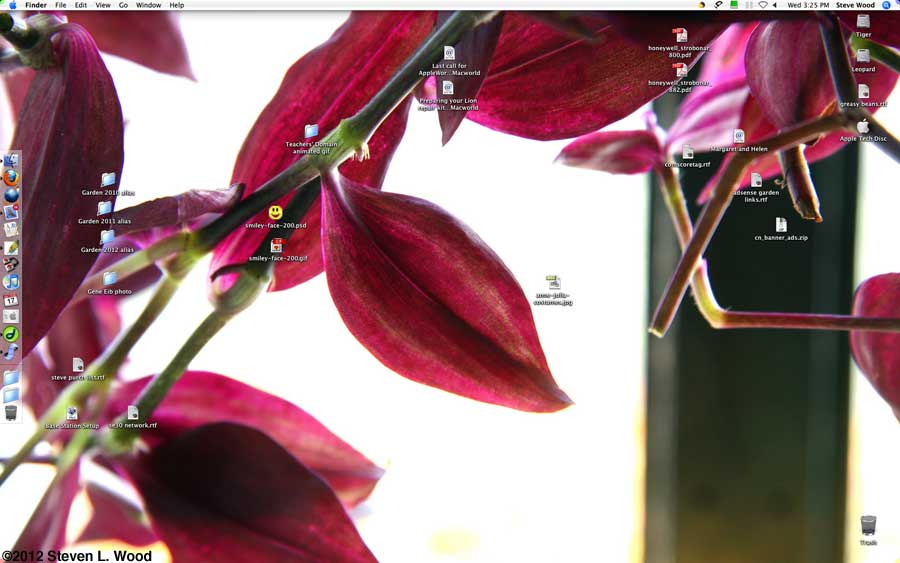 Wandering jew desktop