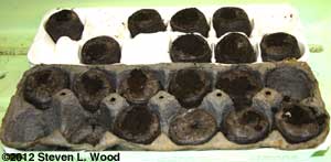 Peat pellets and egg cartons