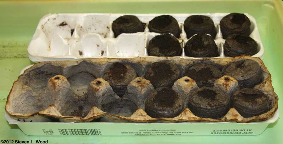 14 of 22 seeds failed