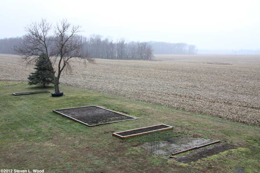 Our senior garden - 2/4/2012