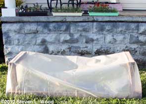 Cold frame closed