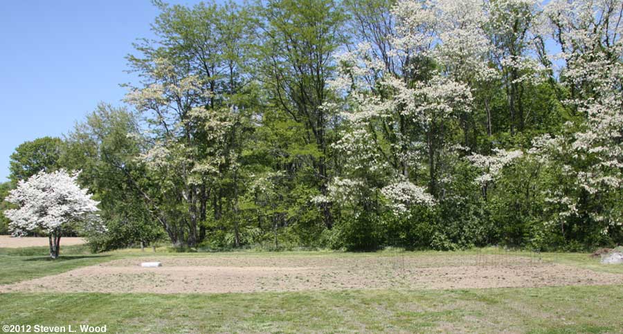 East Garden