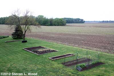 Garden from sunroom window