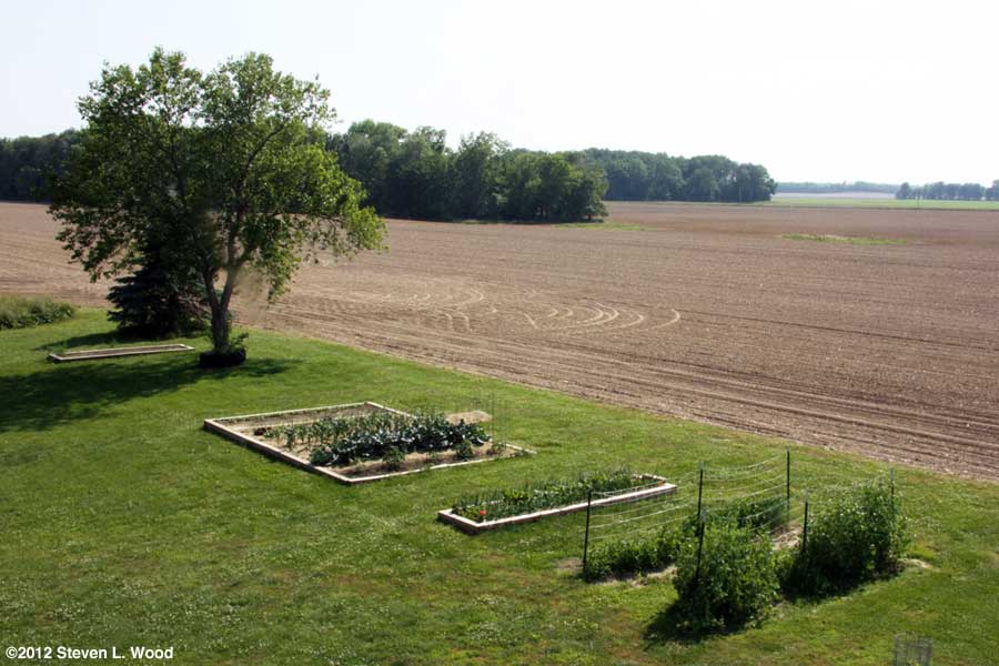 Our senior garden - 5/18/2012
