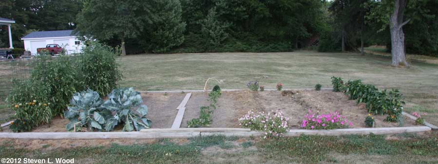 Main garden plot