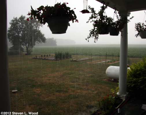 Rain