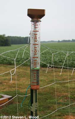 Rain gauge