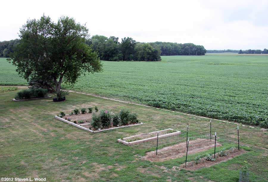 Our Senior Garden - 7/14/2012