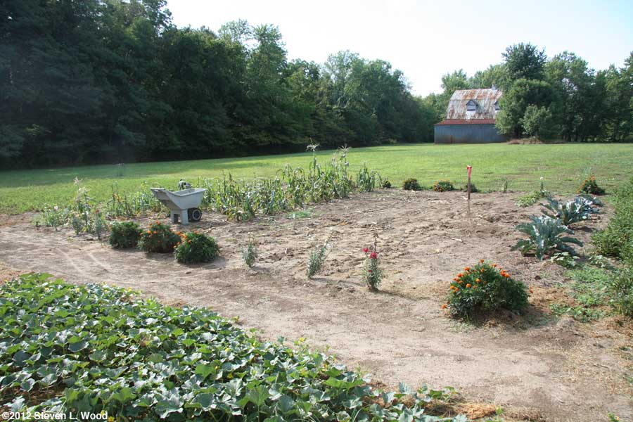 Cleaning corn stubble