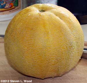 Whole Honeydew