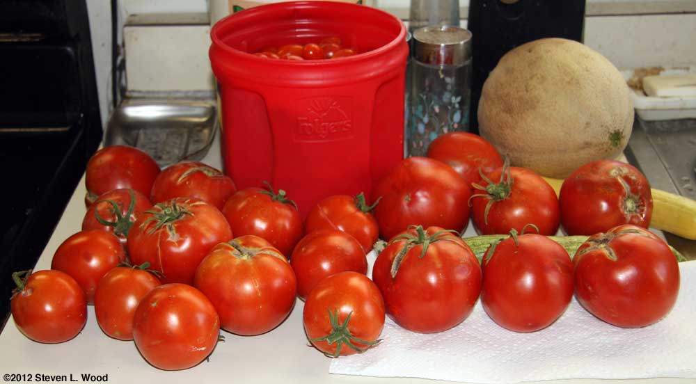 Tomatoes