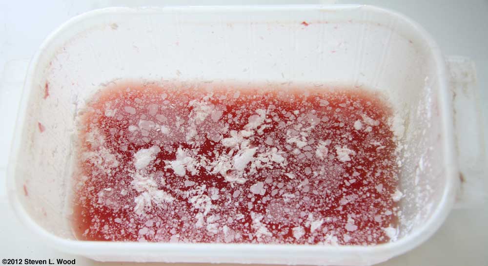 Fermenting tomato seed