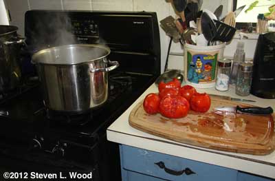 Peeling tomatoes