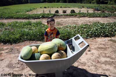 Brady with melons