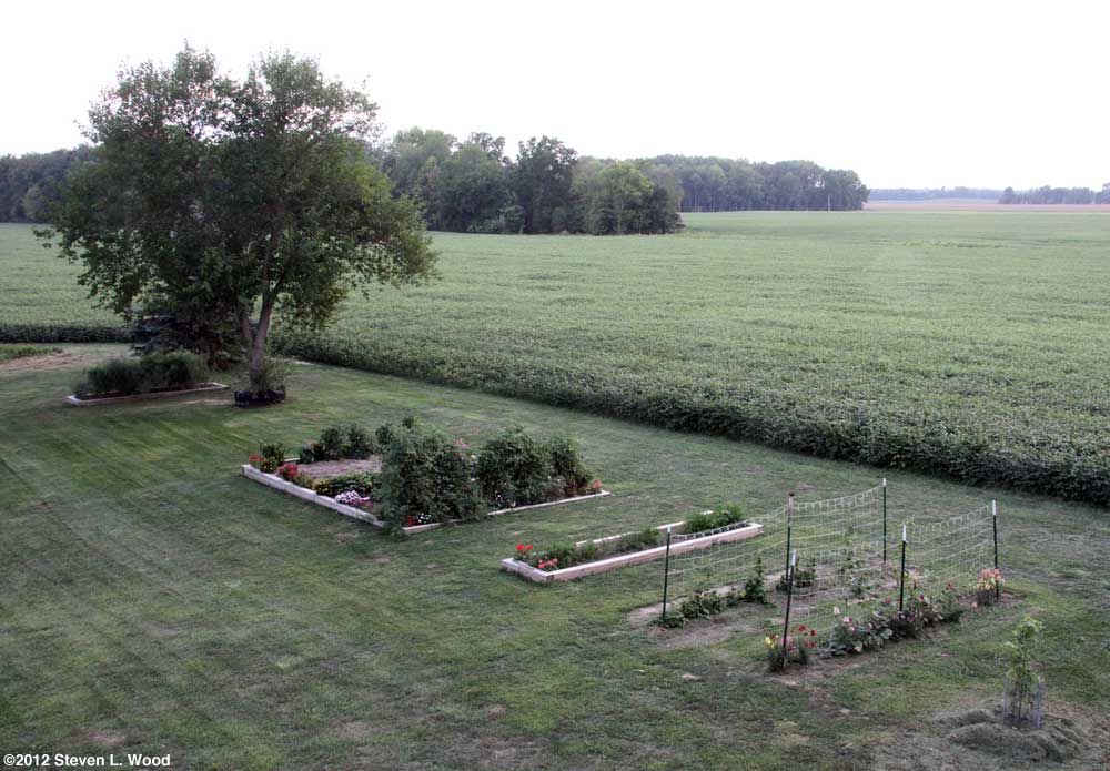 Our Senior Garden - 8/31/2012
