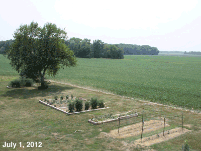 July, 2012 anigif