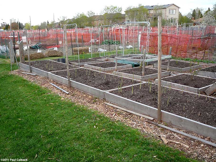 Community gardens