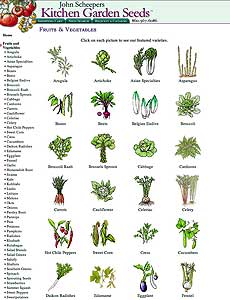 Kitchen Garden Veggies