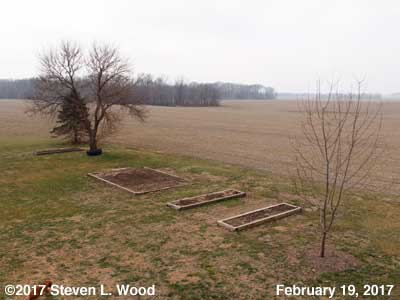 Our Senior Garden - February 19, 2017