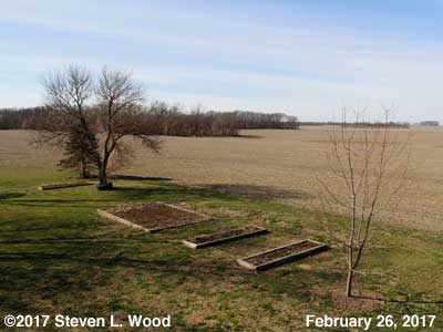 Our Senior Garden - February 26, 2017