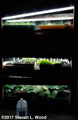 Plant rack full