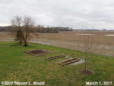 Our Senior Garden - March 1, 2016