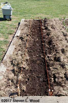 Finished planting