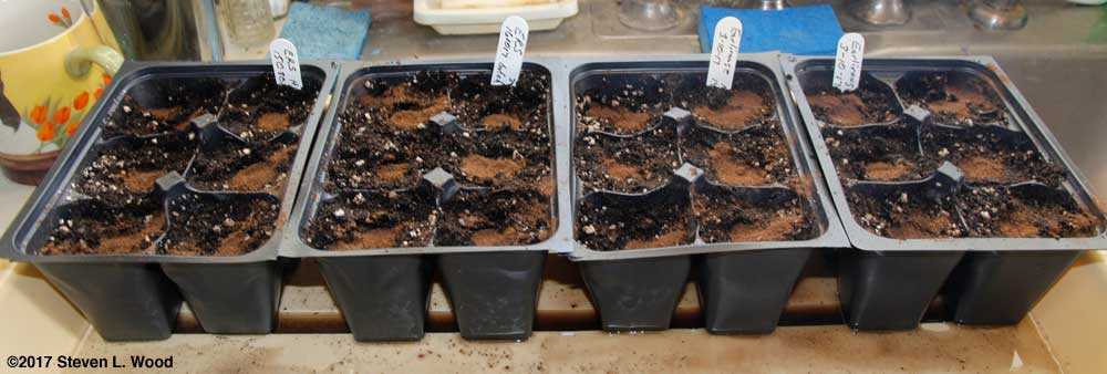 Inserts seeded to tomatoes and peppers