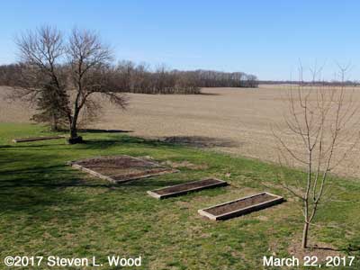 Our Senior Garden - March 22, 2017