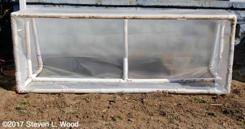 Cold frame open