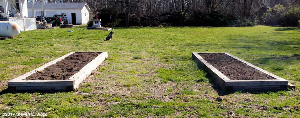 Narrow beds rototilled on March 21, 2017