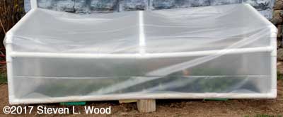 Cold frame slightly open
