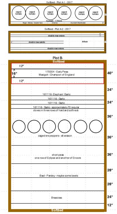 Raised beds garden plan