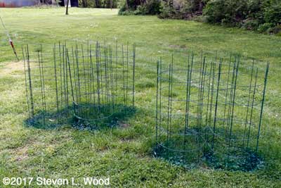 Repurposed cages, bottoms up