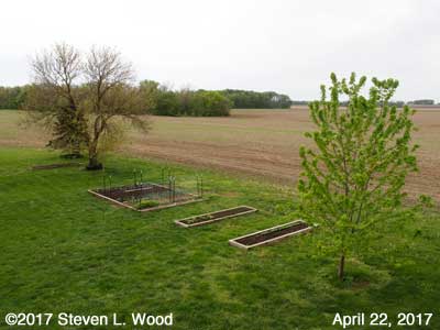 Our Senior Garden - April 22, 2017