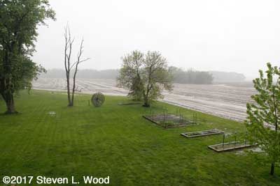 Lots of rain