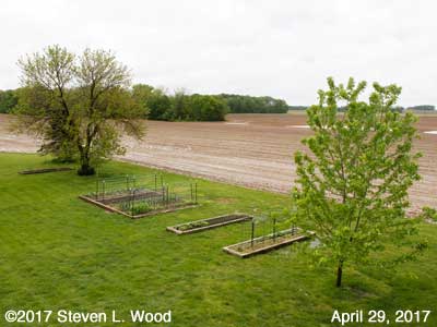 Our Senior Garden - April 29, 2017