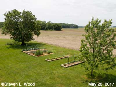 Our Senior Garden - May 20, 2017