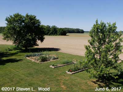 Our Senior Garden - June 6, 2017