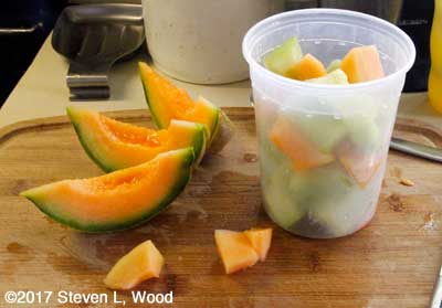 Early cantaloupe and honeydew