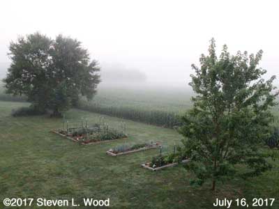 Our Senior Garden in fog - July 16, 2017
