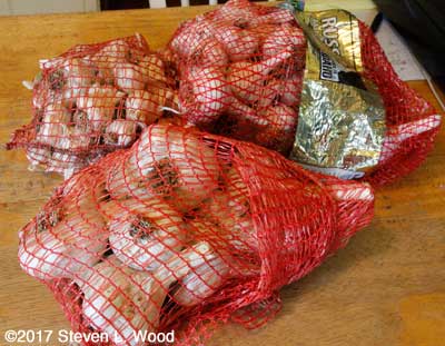 Bagged garlic