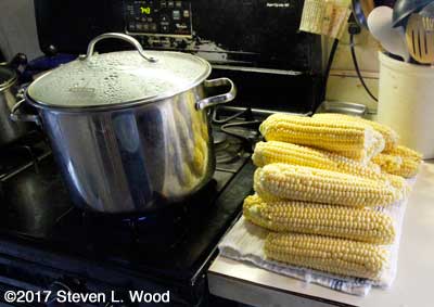 Blanching sweet corn