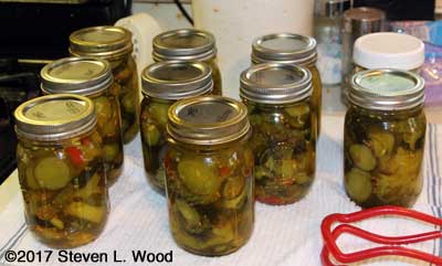 Ten pints of bread and butter pickles