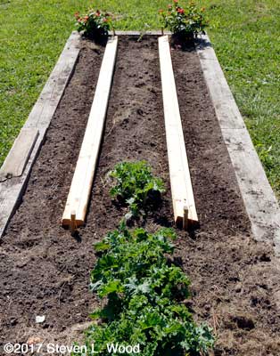 Boards laid to hold in soil moisture