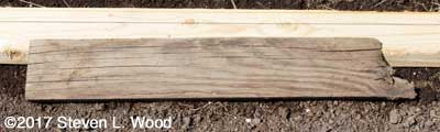 Furrow maker